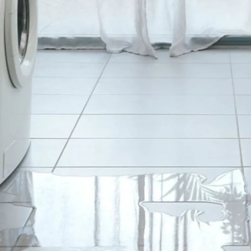 Appliance Leak Cleanup in Charleston County, SC