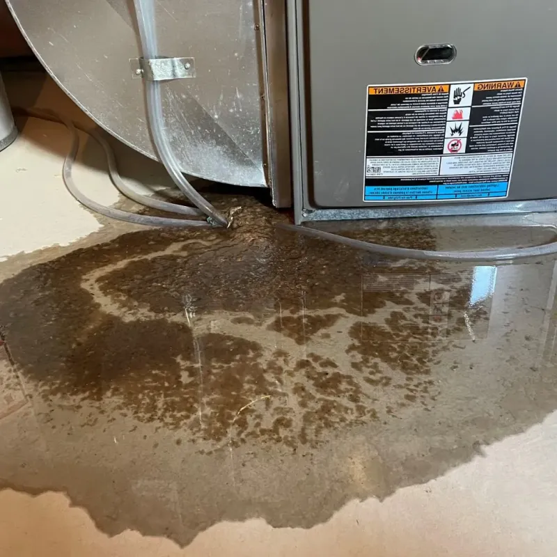 Pipe Burst and Leak Restoration in Charleston County, SC